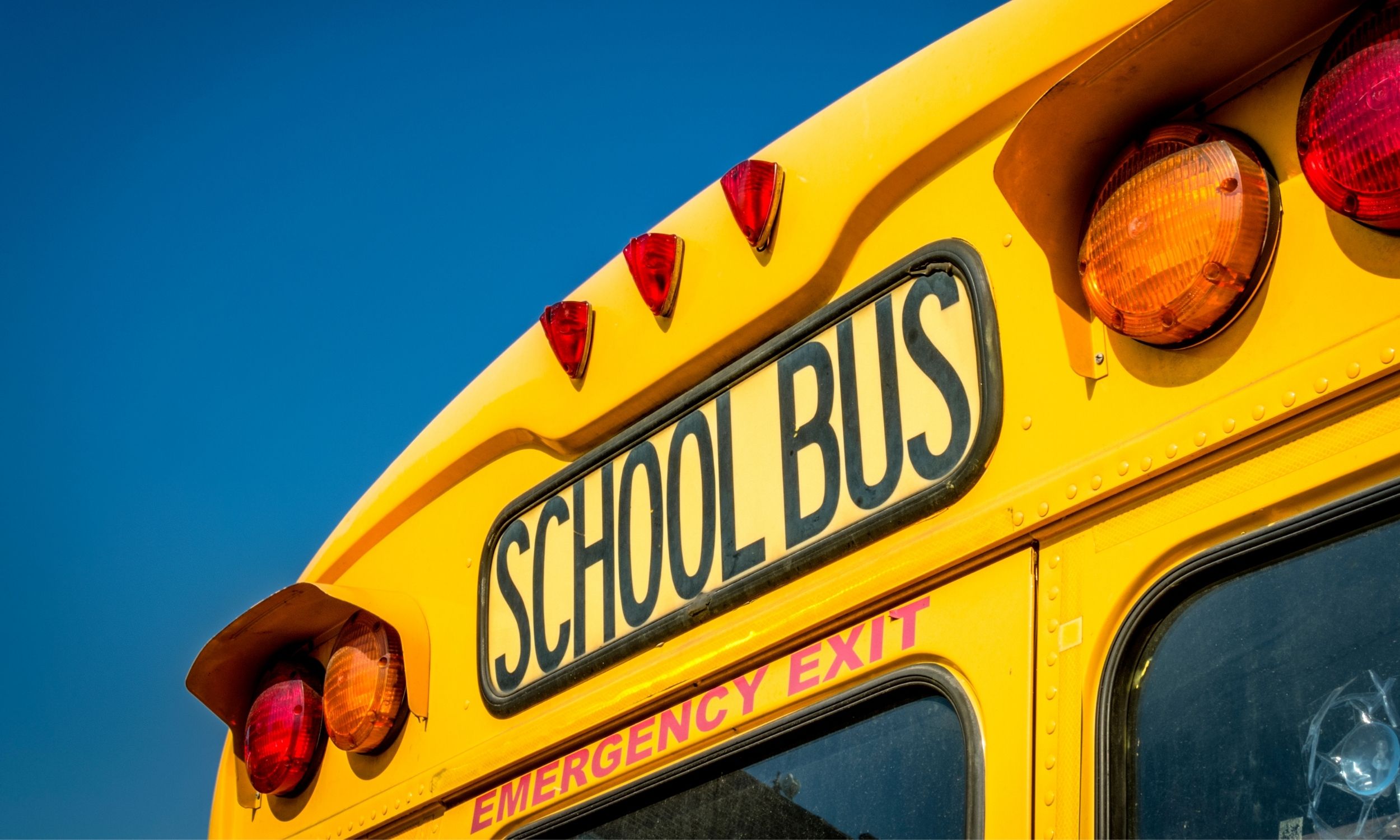 STOP! For School Buses | Sieben Edmunds Miller