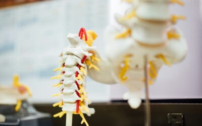 The Legal Rights of Spinal Cord Injury Victims
